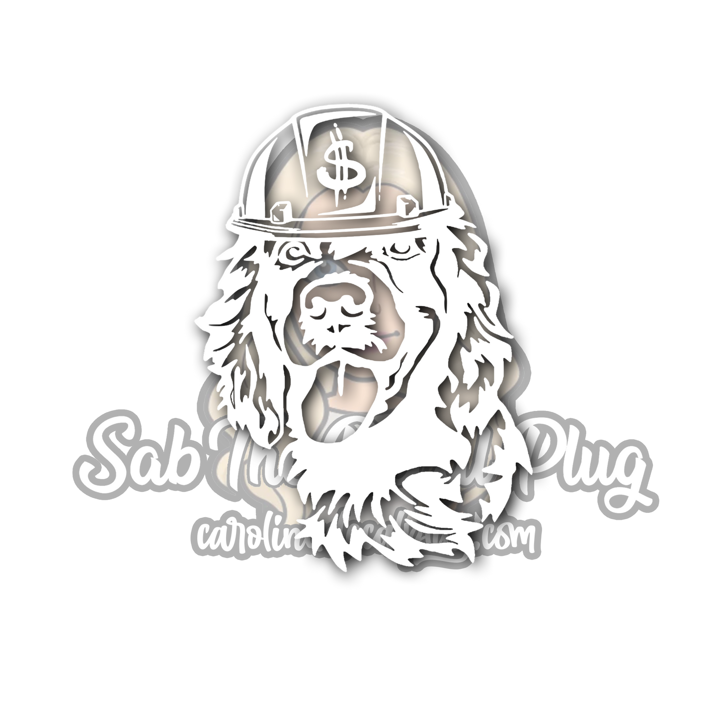 Boykin with Hard Hat