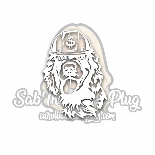 Boykin with Hard Hat